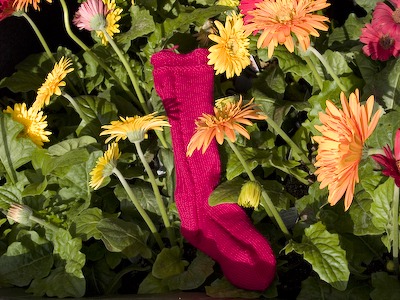 Sock 2 Sock 2