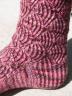 pomatomus_detail.jpg