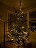 christmastree.jpg