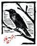 ravenprint2.jpg