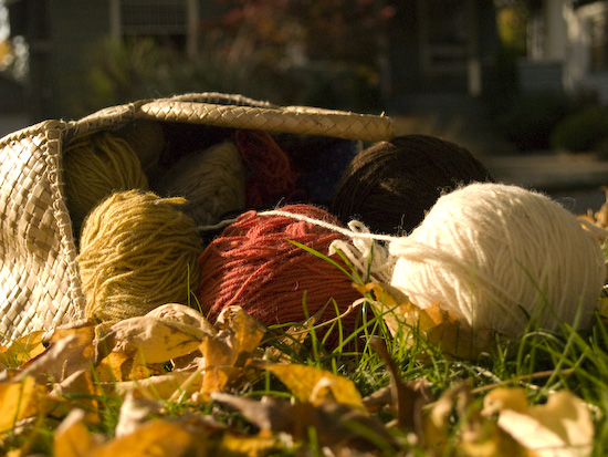 20squint_skeins_basket.jpg 20squint_skeins_basket.jpg