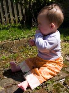 Ada, 8 months - small.jpg (3 of 9) Ada, 8 months - small.jpg (3 of 9)