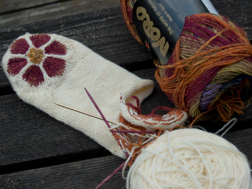 Bluemchen_foot Bluemchen_foot