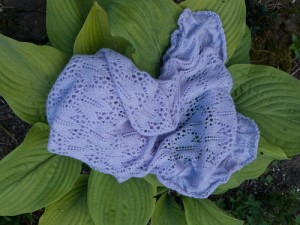 ivy_hosta